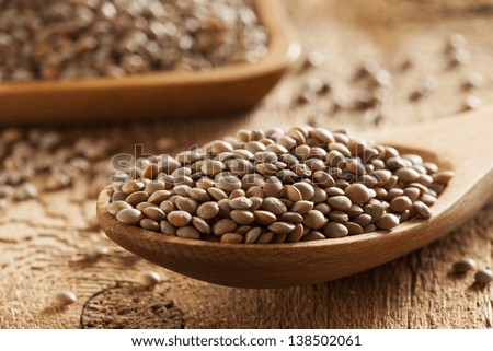 Dry Organic Brown Lentils against a background