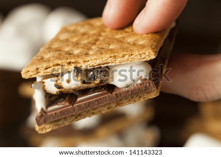 Homemade S'more with chocolate and marshmallow on a graham cracker