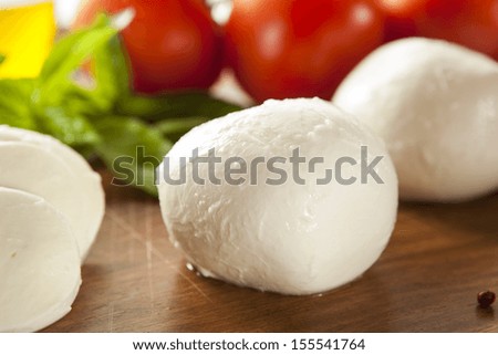 Homemade Organic Mozzarella Cheese with Tomato and Basil