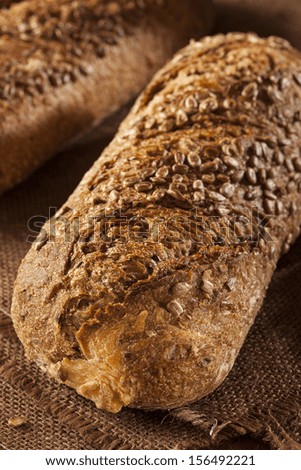 Fresh Homemade Whole Wheat Bread on a Background