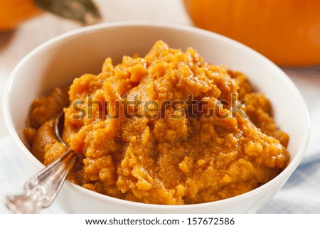 Organic Orange Pumpkin Puree Ingredient for Baking
