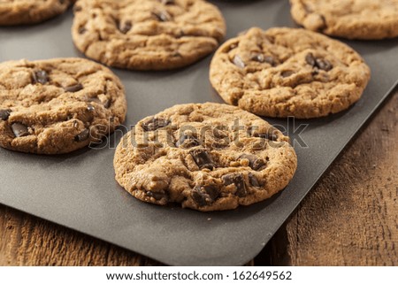 Homemade Chocolate Chip Cookies Ready to Eat