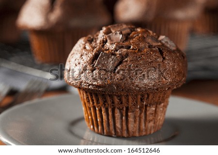 Double Chocolate Chip Muffin Pastry for Breakfast