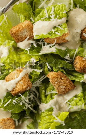 Healthy Green Organic Caesar Salad with Cheese and Croutons