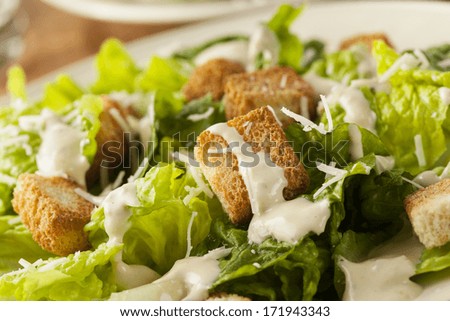 Healthy Green Organic Caesar Salad with Cheese and Croutons