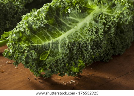 Bunch of Healthy Raw Green Kale Leafy Vegetables
