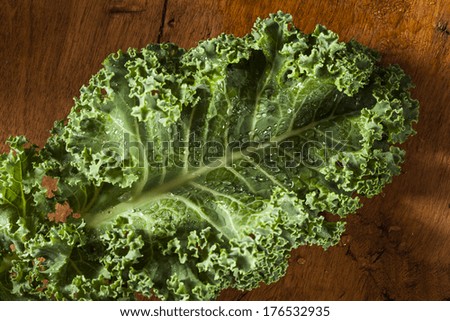 Bunch of Healthy Raw Green Kale Leafy Vegetables