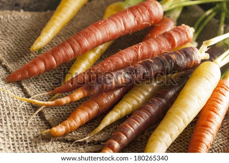 Colorful Multi Colored Raw Carrots on a Background