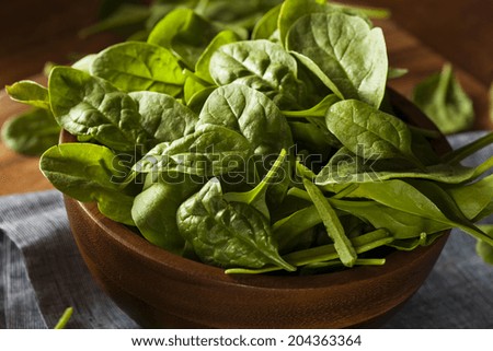 Raw Green Organic Baby Spinach in a Bowl
