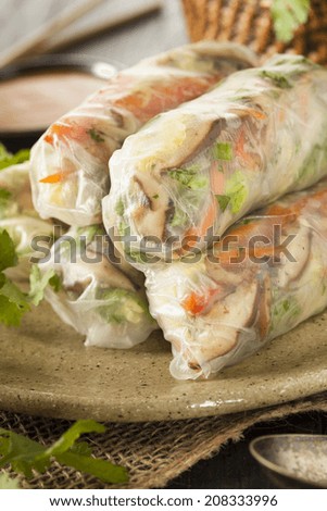 Healthy Vegetarian Spring Rolls with Cilantro Carrots and Cabbage