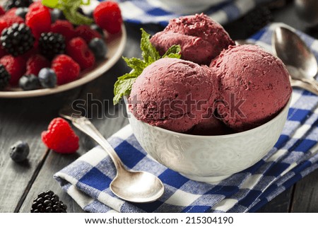 Homemade Organic Berry Sorbet Ice Cream Ready to Eat