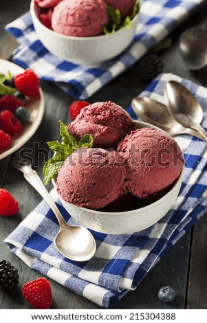 Homemade Organic Berry Sorbet Ice Cream Ready to Eat