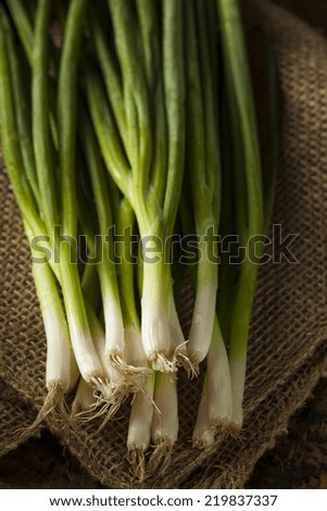 Organic Healthy Green Onion on a Background