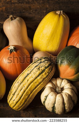 Organic Assorted Autumn Squash on a Background