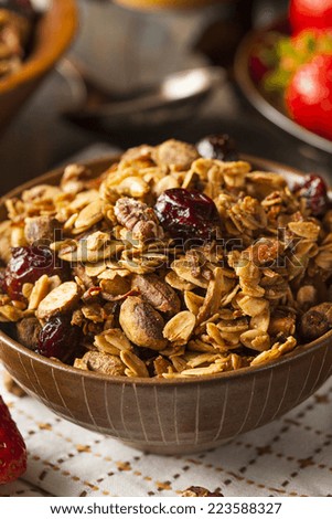 Healthy Homemade Granola with Nuts and Dried Cranberries