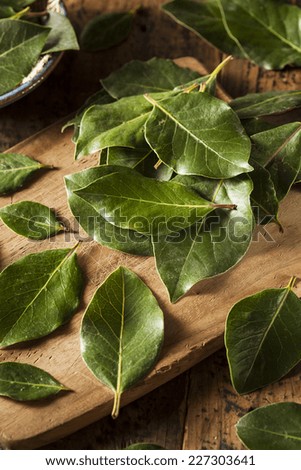 Green Organic Bay Leaves Ready to Use