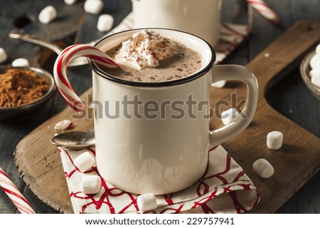 Homemade Peppermint Hot Chocolate with Whipped Cream