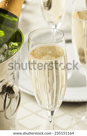 Alcoholic Champagne for New Years Eve Celebration