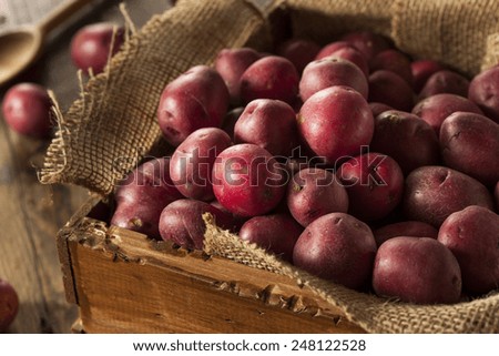Organic Raw Red Potatoes in a Basket