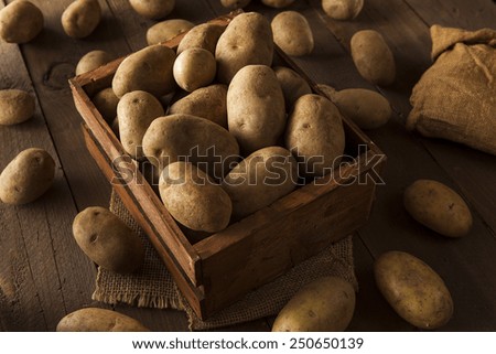 Organic Raw Brown Potatoes in a Basket