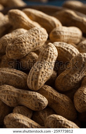 Salted Roasted Shelled Peanuts Ready to Eat
