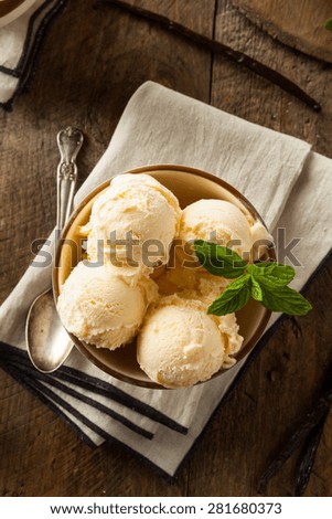 Homemade Organic Vanilla Ice Cream with Mint