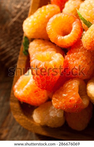 Raw Organic Orange Sunshine Raspberries Ready to Eat
