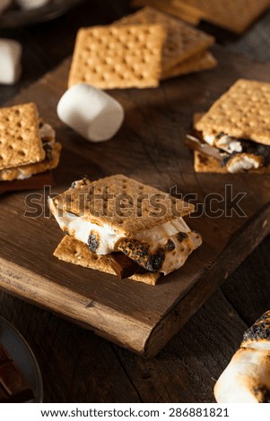 Homemade Gooey S\'mores with Chocolate and Marshmallows