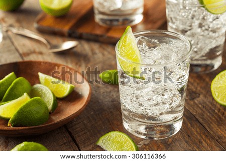 Alcoholic Gin and Tonic with a Lime Garnish
