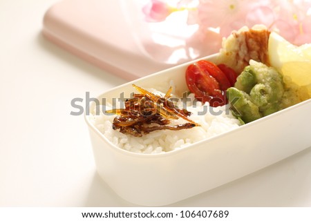 Japanese culture food, homemade packed lunch Obento
