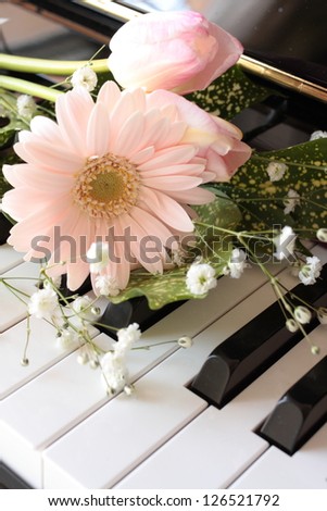 elegant pink gerbera daisy on piano keyboard