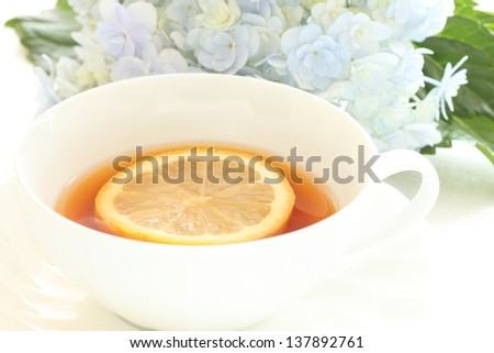 hydrangea and english tea for early summer image