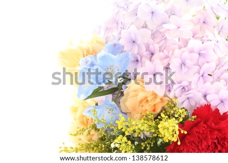 Delphinium and hydrangea bouquet for early summer flower image