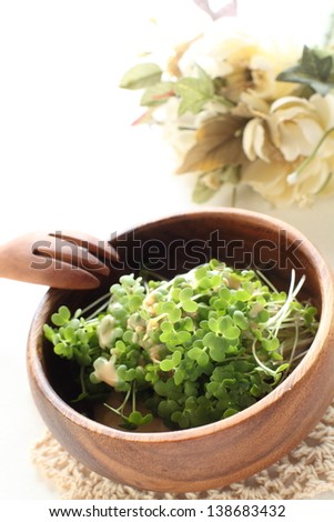 broccoli sprout in wooden bowl for healthy salad image