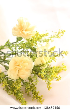 elegant yellow carnation for mother\'s day image
