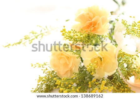 elegant yellow carnation for mother\'s day image