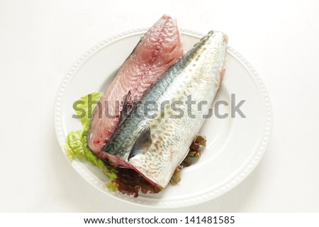 freshness Mackerel blue fish from Japan for reducing the occurrence of cardiovascular disease food ingredient image
