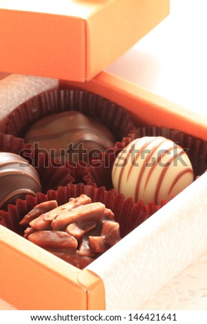 Gourmet dessert, assorted chocolate in gift box