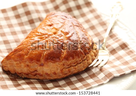 home bakery meat pie on paper napkin with fork and copy space