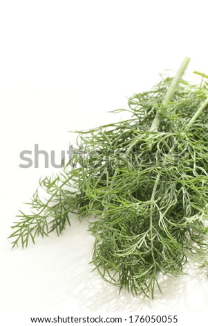 freshness green herb, strong aroma Dill weed