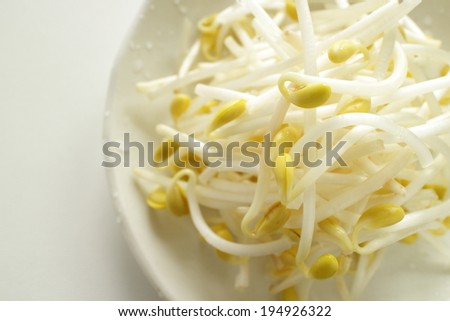 Asian food ingredient, soy sprout