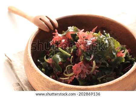 Japanese food, dried brown algae Wakame for healthy salad ingredient image