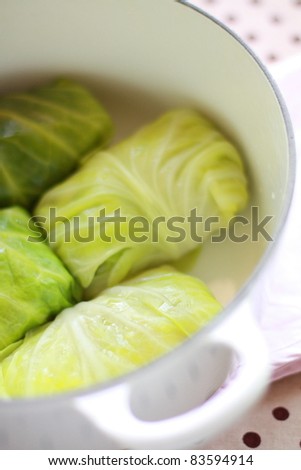 Russian cuisine, cabbage roll in hot pot