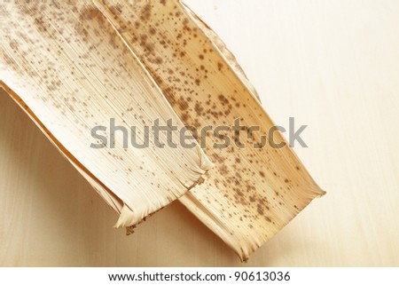 Dried bamboo with copy space for wrapping food to cook in asian