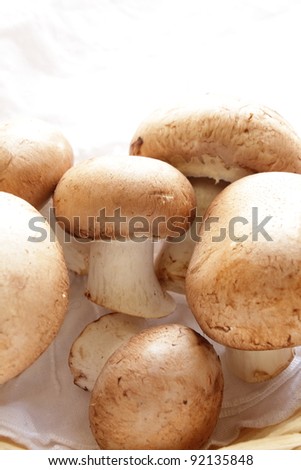 Freshness brown mushroom from Japan Chiba Prefecture