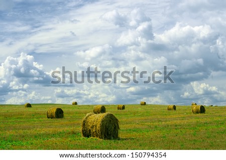 Landscape photo of rolled hay on a field
