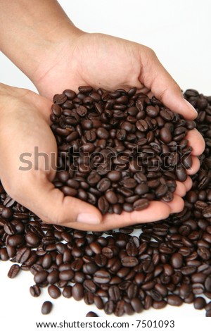 A mixture of coffee benans being picked up