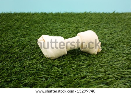 Dog Bone Sitting In A Grass Area