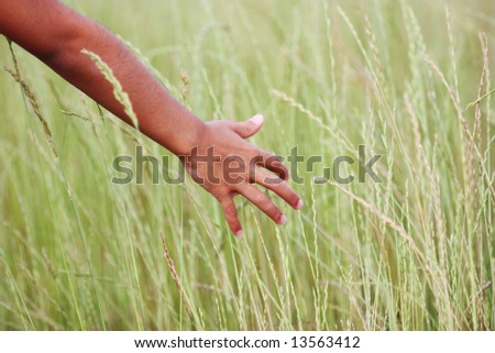 Girl Walking With Her Hand Out In The Grass