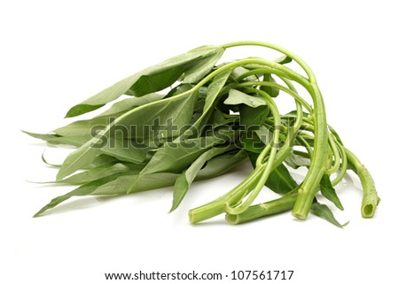Water spinach isolated on white background